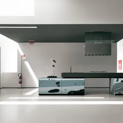 Cucina Design con disegni ad intarsio realizzati su vetro Artematica Vitrum Arte Natura Bianco e Nera di Valcucine